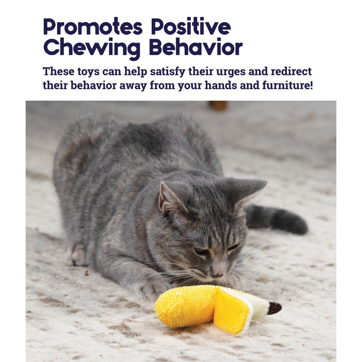 Cat playing with a yellow dental banana cat chew toy