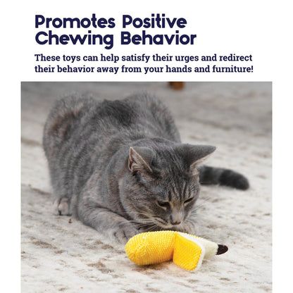 Cat playing with a yellow dental banana cat chew toy
