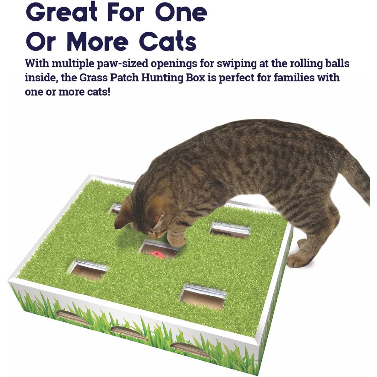 Cat playing with Petstages Grass Patch Hunting Box toy