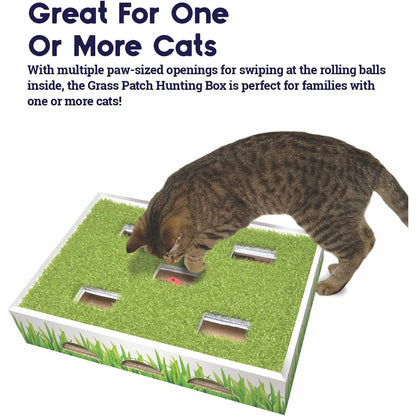 Cat playing with Petstages Grass Patch Hunting Box toy