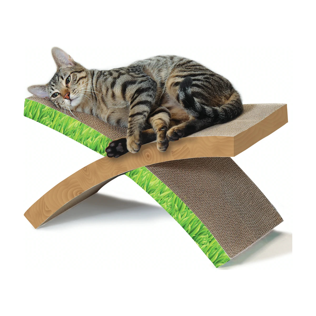 Cat resting on Catstages Easy Life Hammock Cat Scratcher
