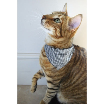 Cat wearing the Rosewood black and white dogtooth bandana cat collar