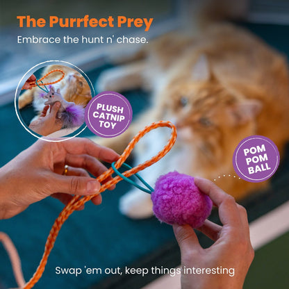 Catstages Cat-apult Spring Wand attachments with plush catnip toy and pom pom ball