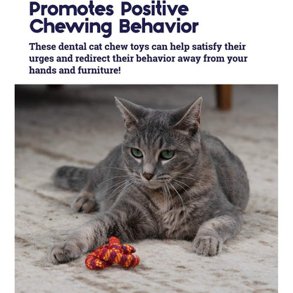 Catstages dental cat chew toy for positive chewing behaviour