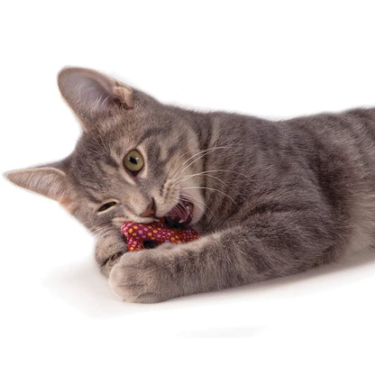 Cat chewing a Catstages Catnip Plaque Pretzel dental toy