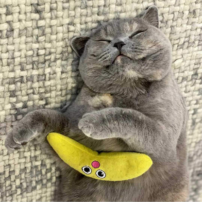 Cat holding a yellow Catstages banana catnip toy for playful enrichment