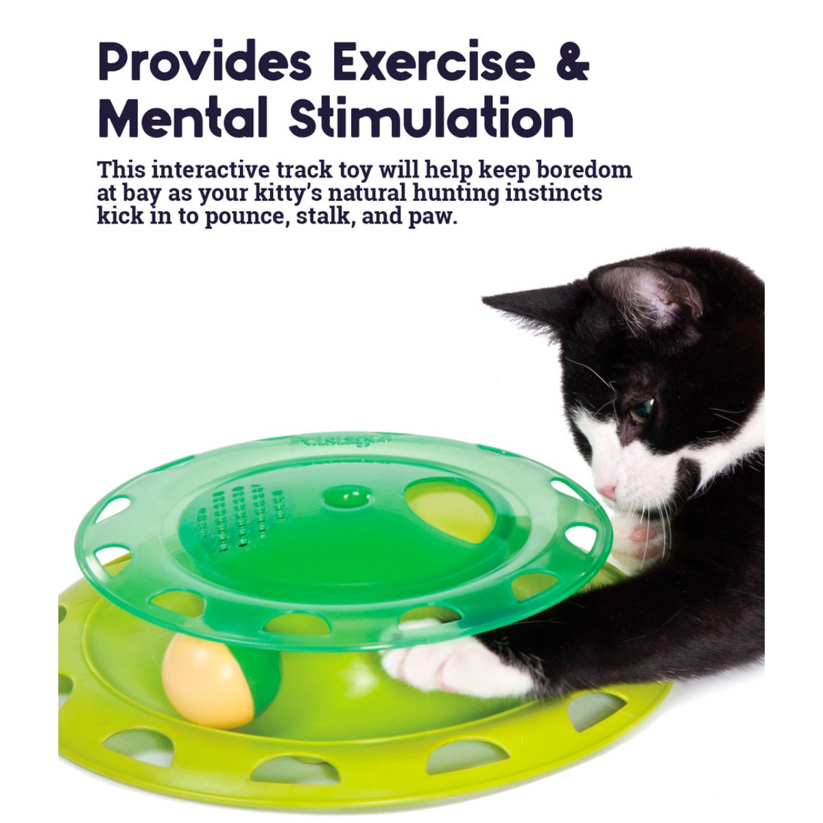 Catstages Catnip Chase Track Cat Toy showing exercise and mental stimulation benefits