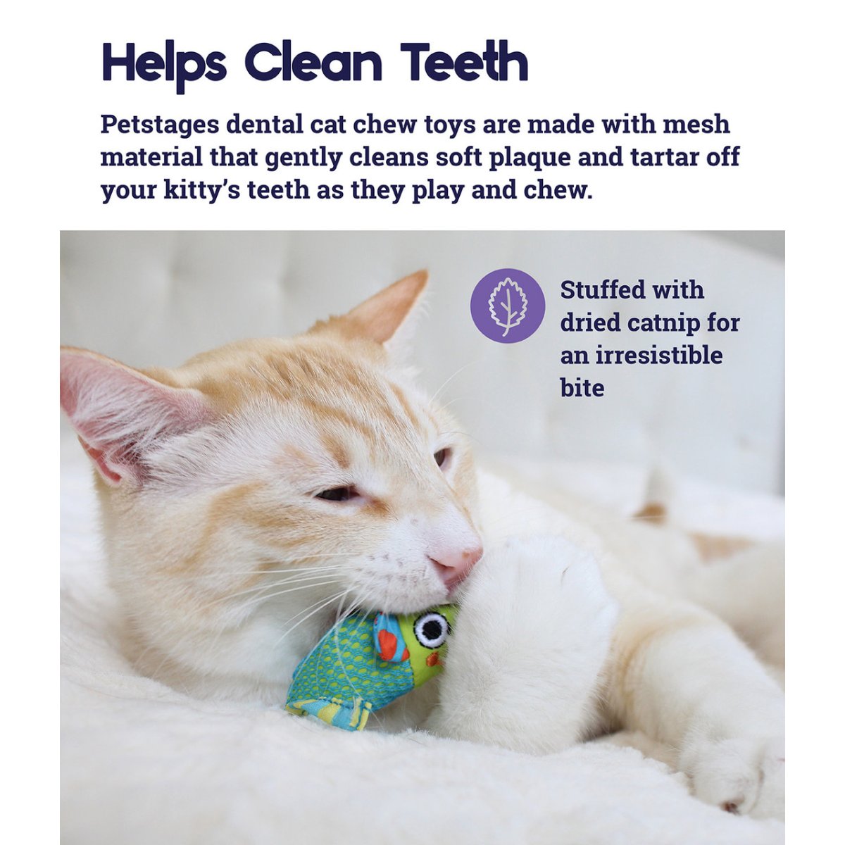 Cat chewing Catstages Catnip Chew Mice dental toy with catnip