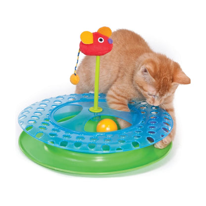 Kitten playing with Catstages Cheese Chase catnip cat track toy
