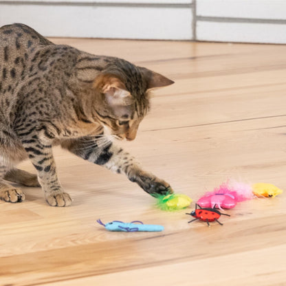 Cat playing with Catstages Cute As A Bug catnip plush toys on the floor