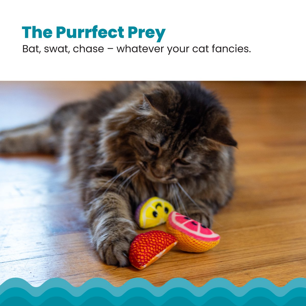 Catstages Dental Fruit Wedges cat toys for batting swatting chasing and active indoor play
