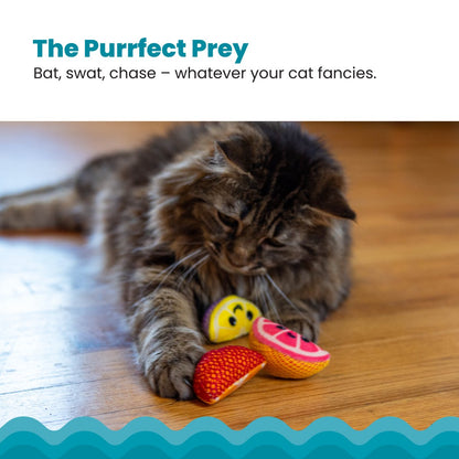 Catstages Dental Fruit Wedges cat toys for batting swatting chasing and active indoor play