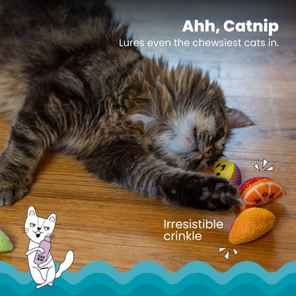 Catstages Dental Fruit Wedges catnip crinkle cat toys for chewing swatting and playful enrichment