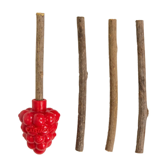 Catstages Dental Raspberry Silvervine Teether Cat Toy with raspberry teether and silvervine sticks