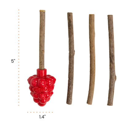 Catstages Dental Raspberry Silvervine Teether size guide showing 5 inch length and 1.4 inch width