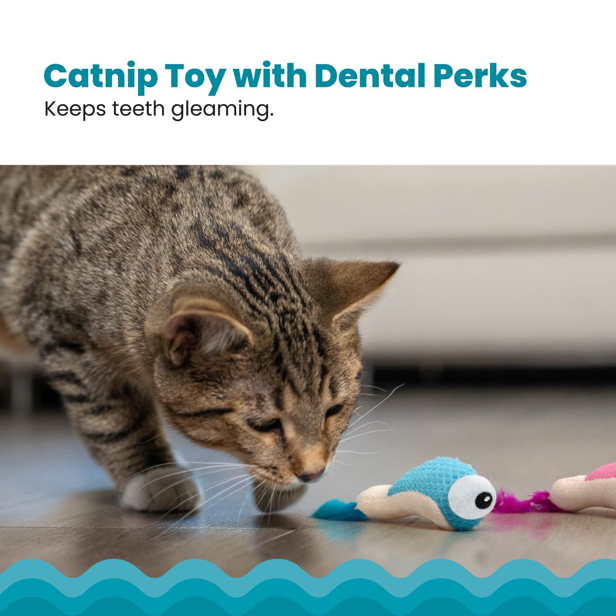 Catstages Dental Shrimpies catnip toy with dental play benefits