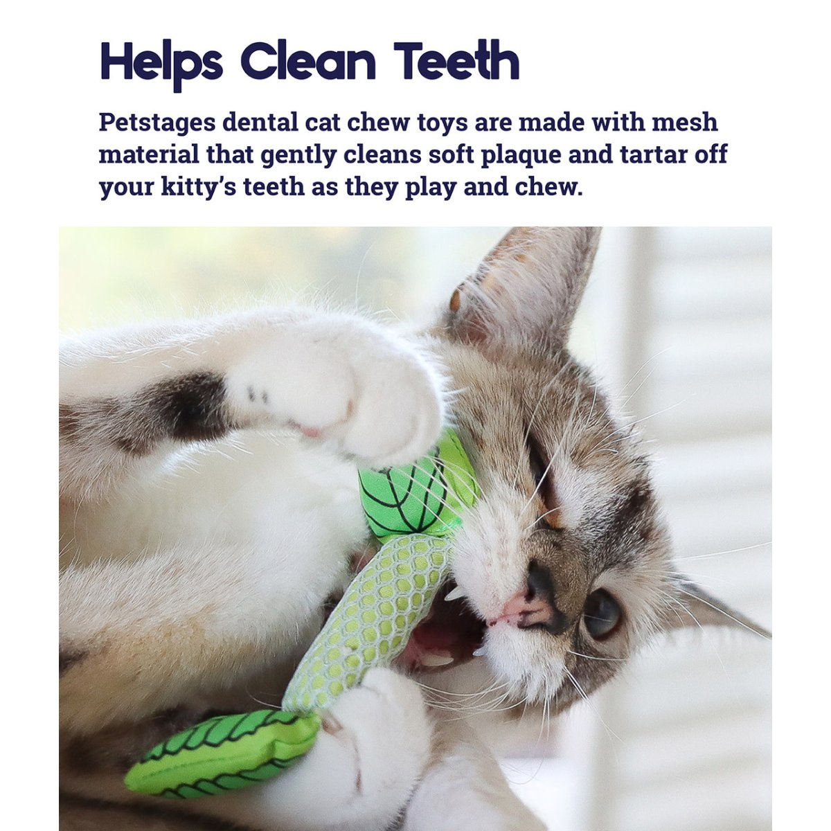 Cat chewing Catstages Fresh Breath Mint Stick dental toy
