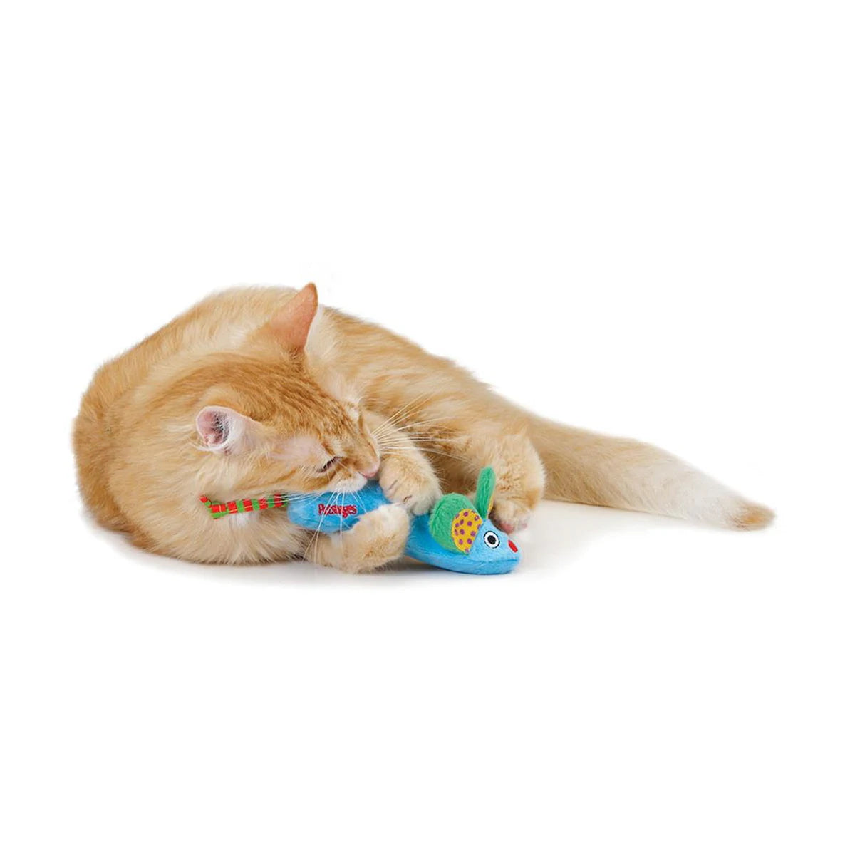Cat cuddling and biting the Catstages Green Magic Mightie Mouse catnip toy