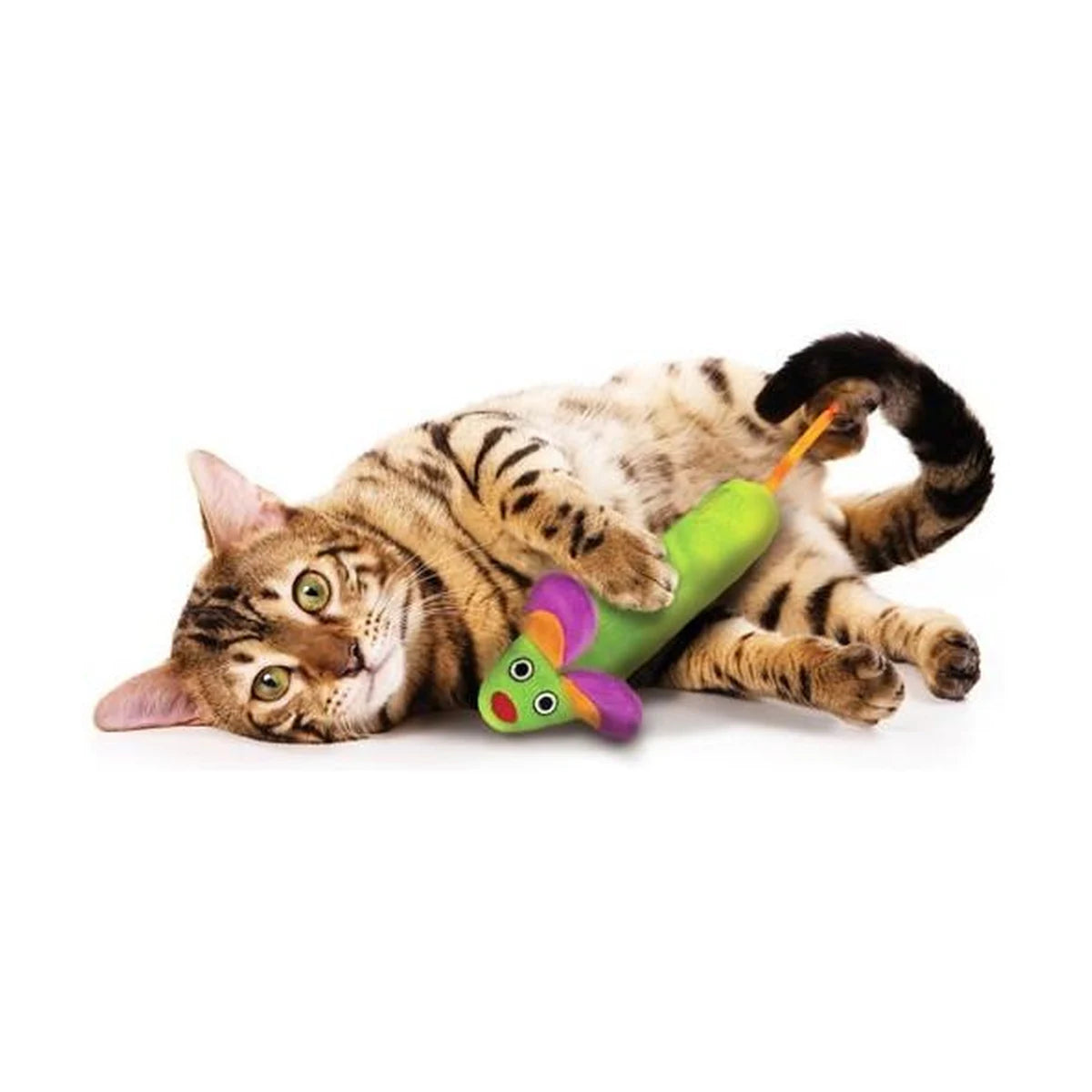 Cat holding the Catstages Green Magic Mightie Mouse catnip toy