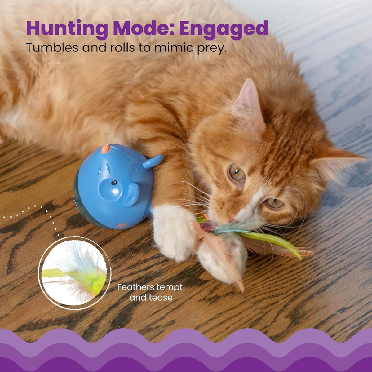 Cat playing with the Catstages Hunt n' Swat Treat Tumbler and feather detail