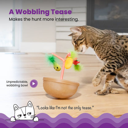 Cat playing with Catstages Hunt N Wobble Fruit Bowl wobbling cat toy