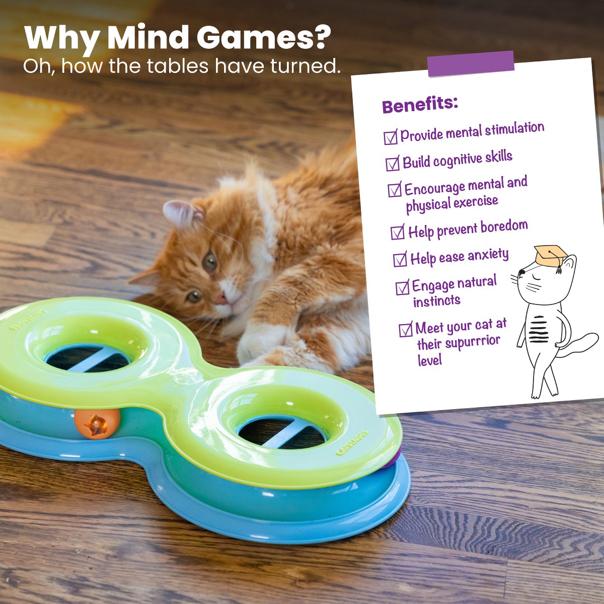 Catstages Infinity Ball Track benefits for cat mental stimulation, exercise and boredom relief
