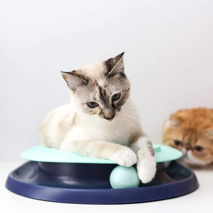 Indoor cat pawing the ball on the Catstages Lay 'N Play Cat Track Toy