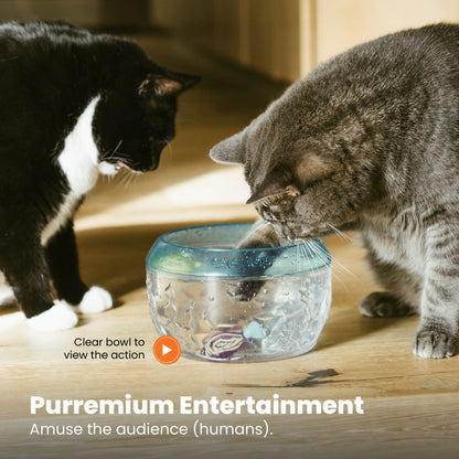 Cats watching the Catstages MEOW-SMERIZING Fish Bowl Cat Toy during supervised water play