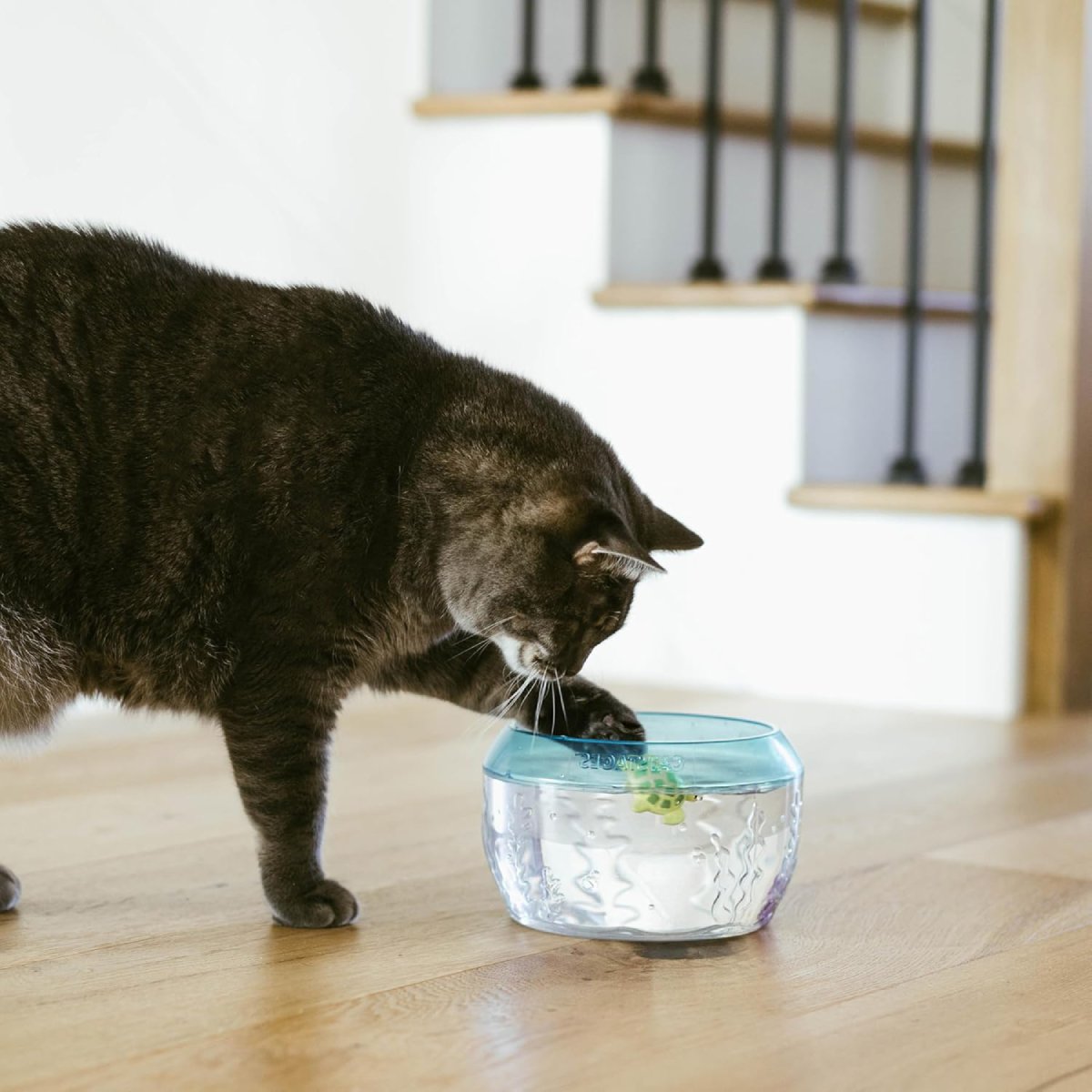 Cat using the Catstages MEOW-SMERIZING Fish Bowl Cat Toy for interactive indoor water play