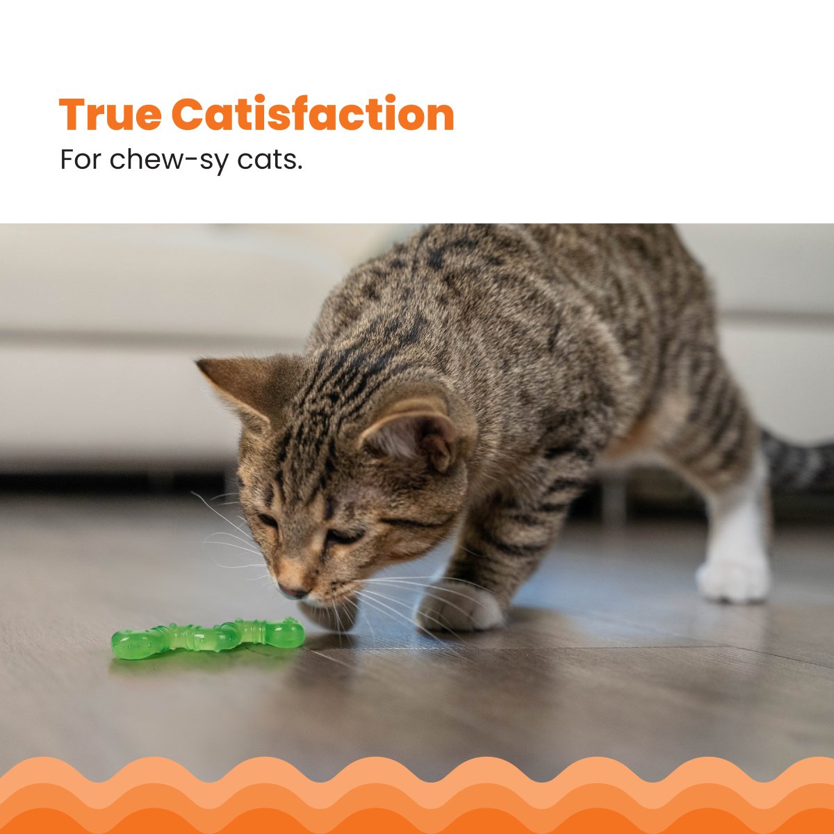 Cat sniffing the Catstages OrkaKat Wiggle Worm green chew toy