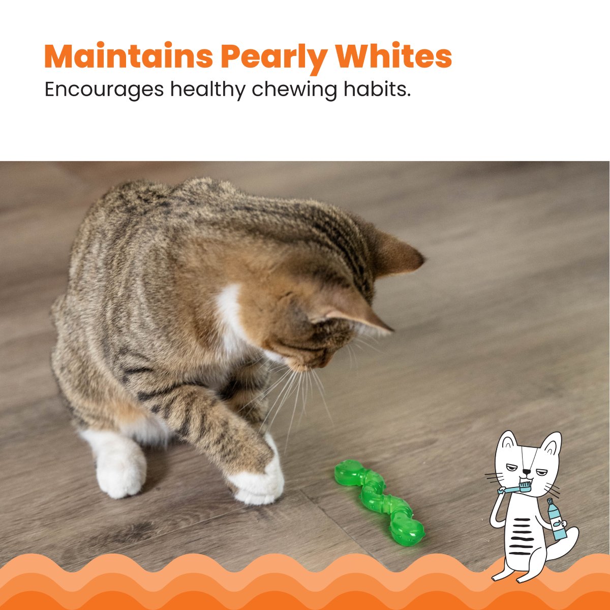 Cat playing with Catstages OrkaKat Wiggle Worm dental chew toy