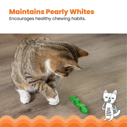 Cat playing with Catstages OrkaKat Wiggle Worm dental chew toy
