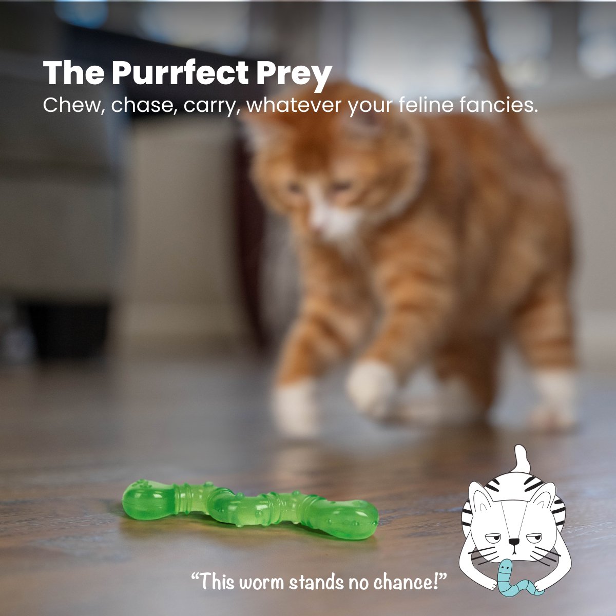 Cat chasing the green Catstages OrkaKat Wiggle Worm chew toy