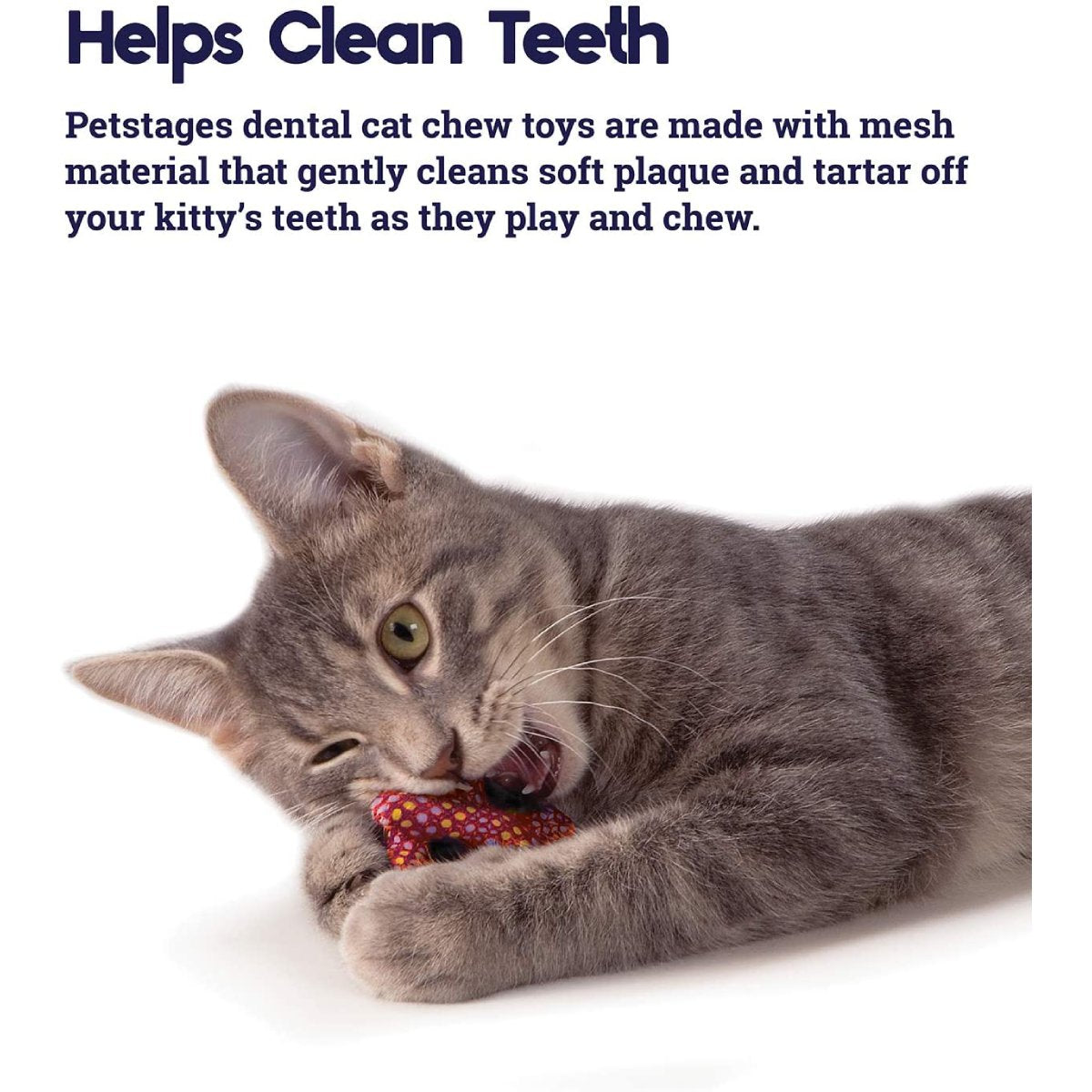 Catstages pretzel dental cat toy helping clean teeth during play