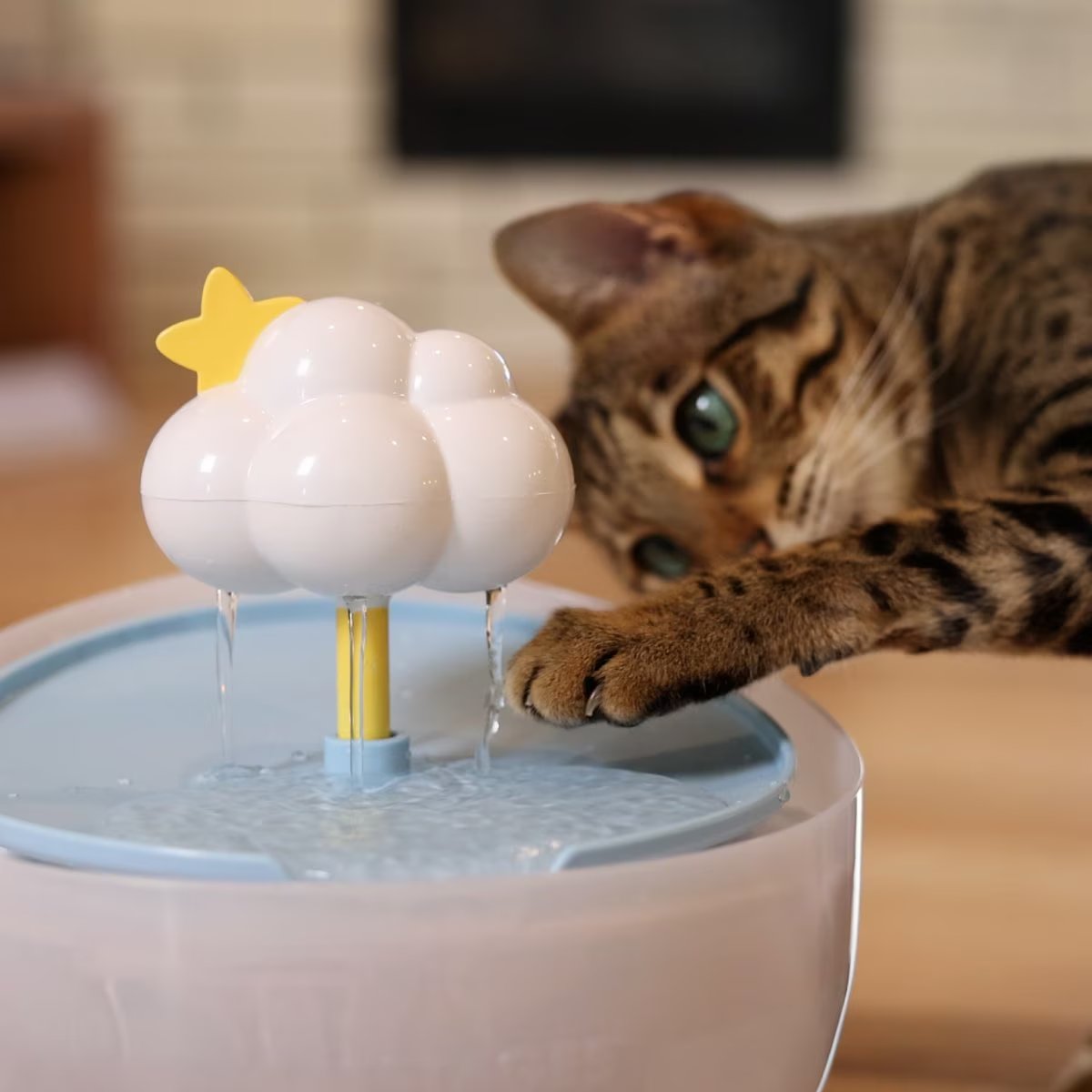 Cat drinking from Catstages Purrfect Rain Water Fountain