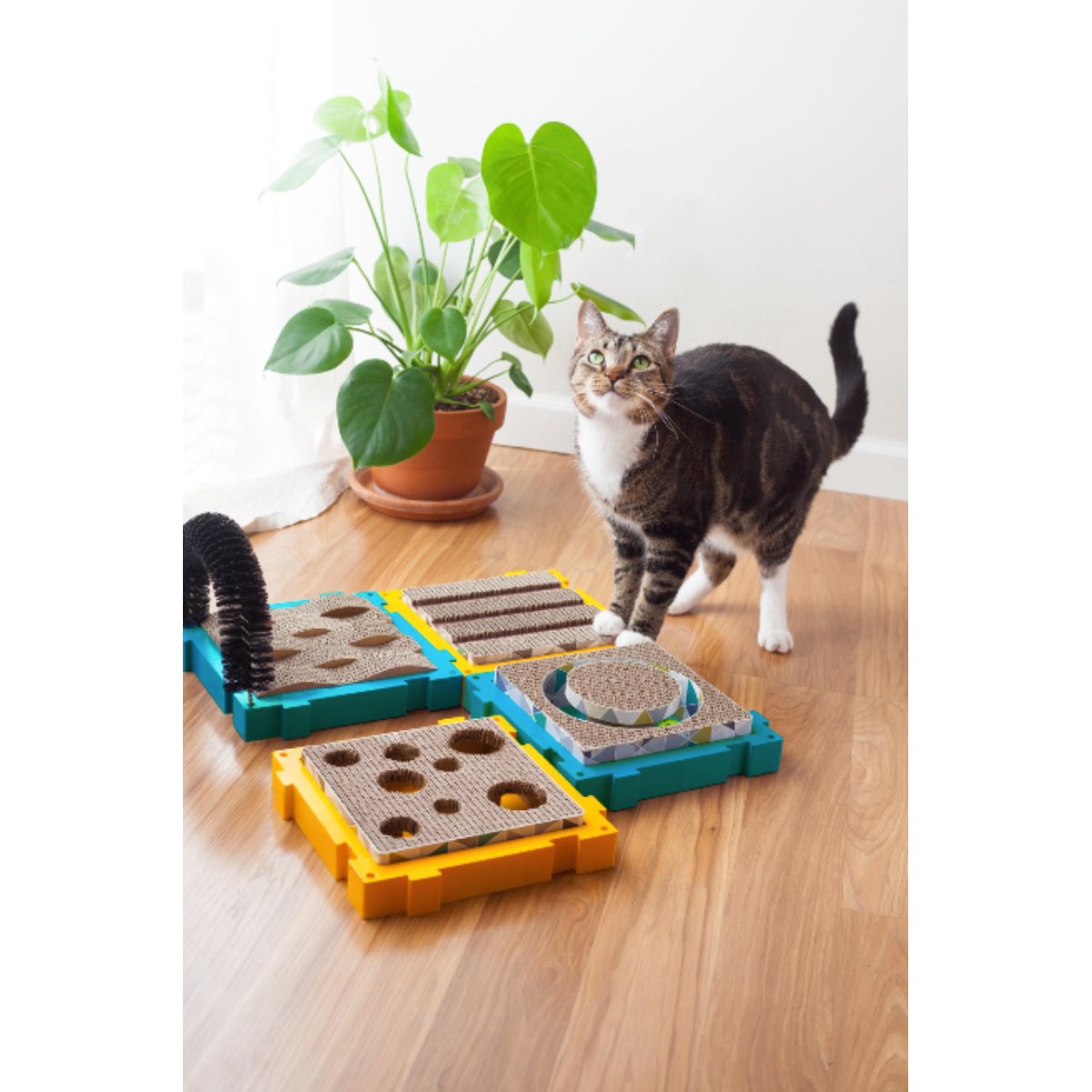Cat near Catstages Puzzle Scratch modular cat scratcher playscape