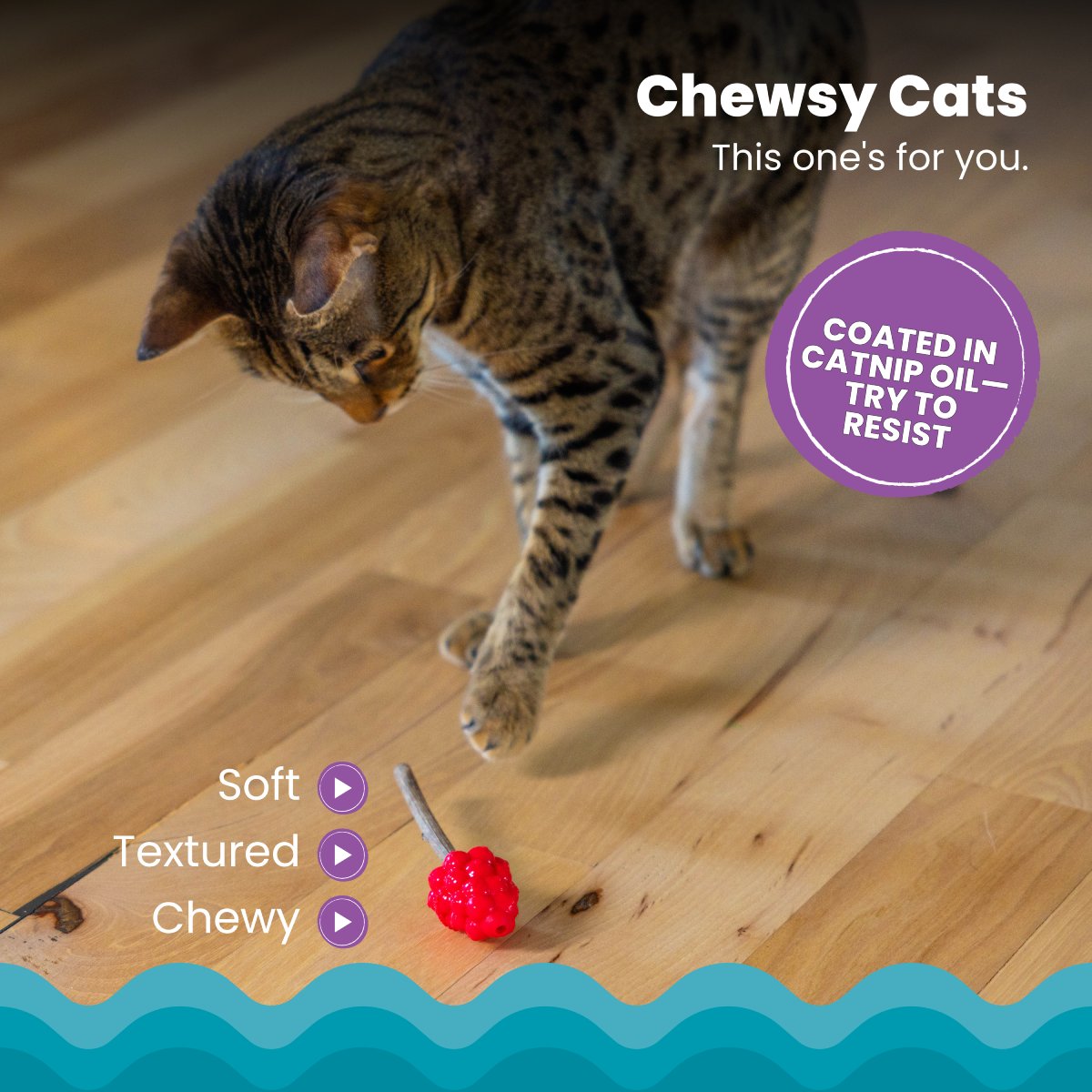 Catstages Raspberry Silvervine Teether chew toy for cats that enjoy chewing