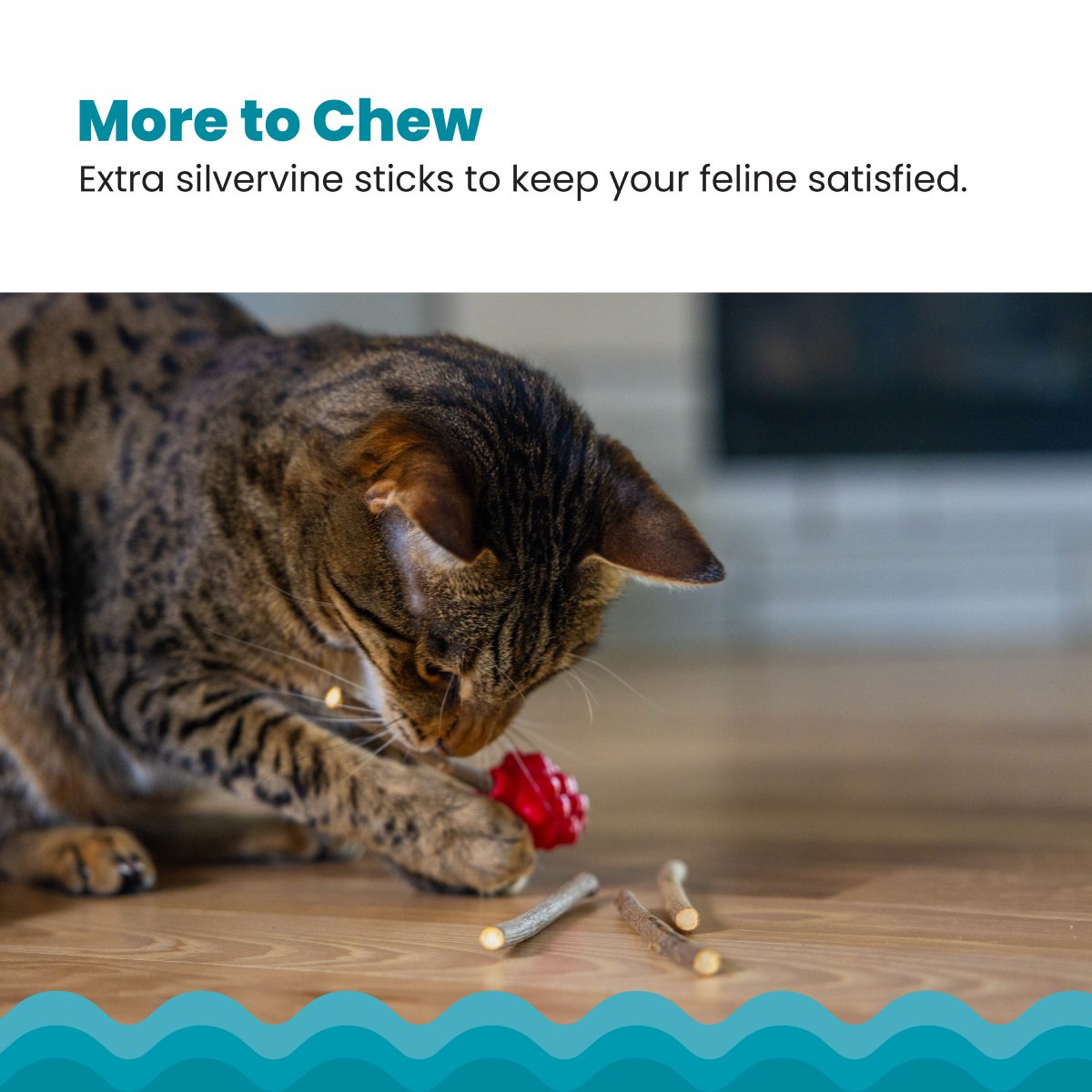 Catstages Raspberry Silvervine Teether with extra silvervine sticks for chewing play
