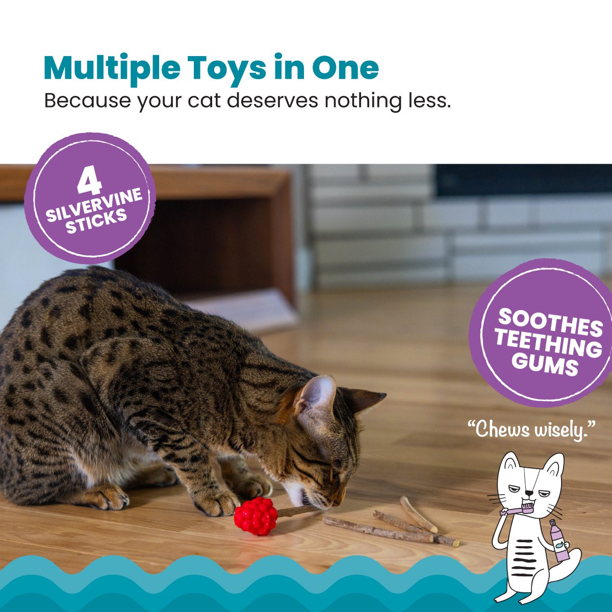 Catstages Dental Raspberry Silvervine Teether with four silvervine sticks