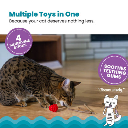 Catstages Dental Raspberry Silvervine Teether with four silvervine sticks