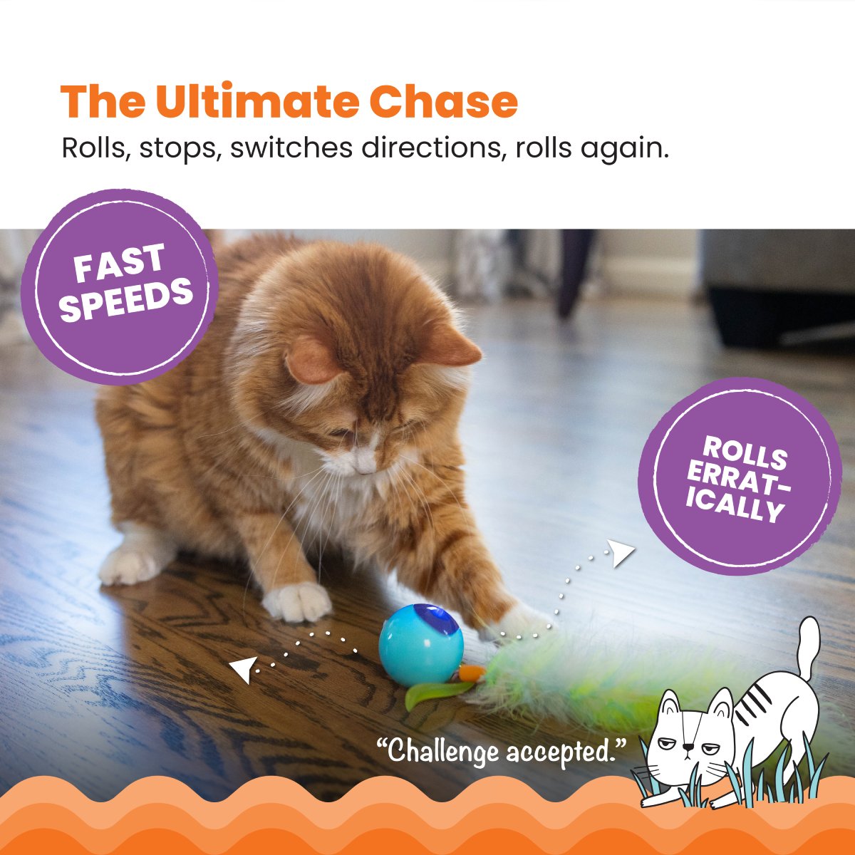 Cat chasing Catstages Roll & Chase robot toy with erratic rolling and changing directions
