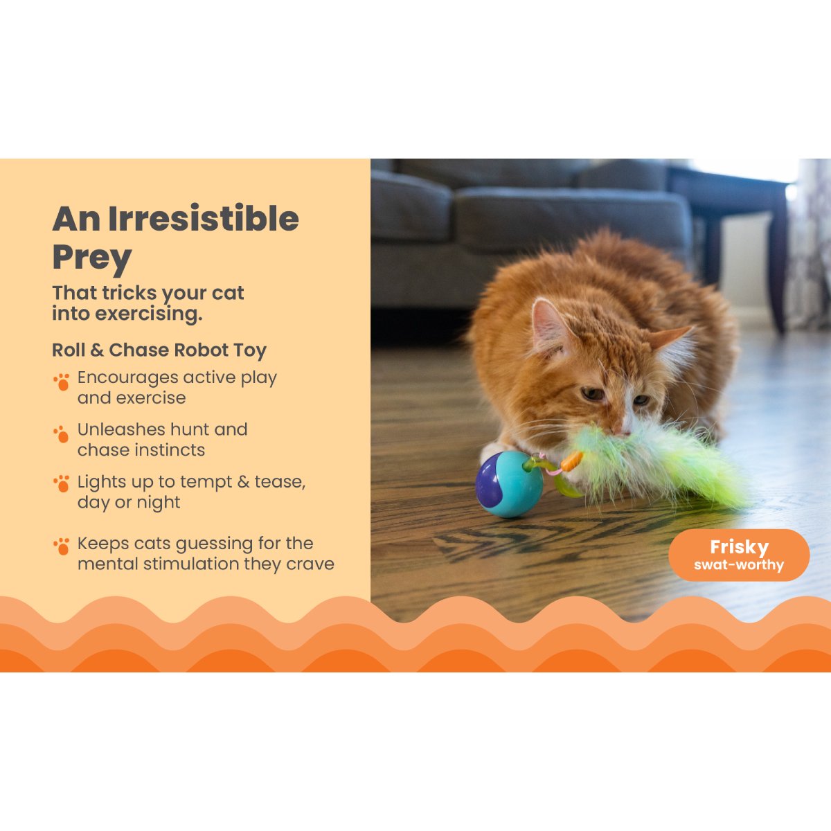 Catstages Roll & Chase interactive cat toy encouraging chasing exercise and indoor enrichment