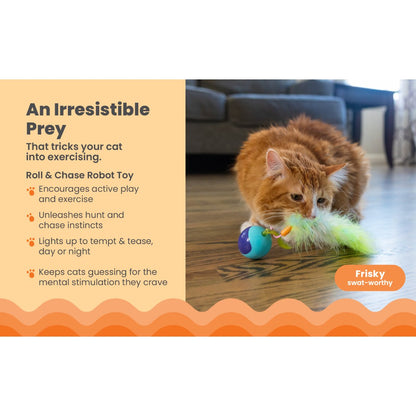 Catstages Roll & Chase interactive cat toy encouraging chasing exercise and indoor enrichment