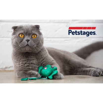 Grey cat resting with Catstages Toss 'n Dangle Frog cat toy