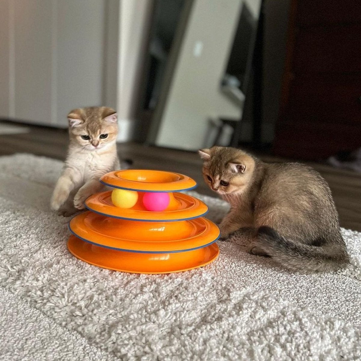 Two kittens playing with the Catstages Tower of Tracks Cat Toy