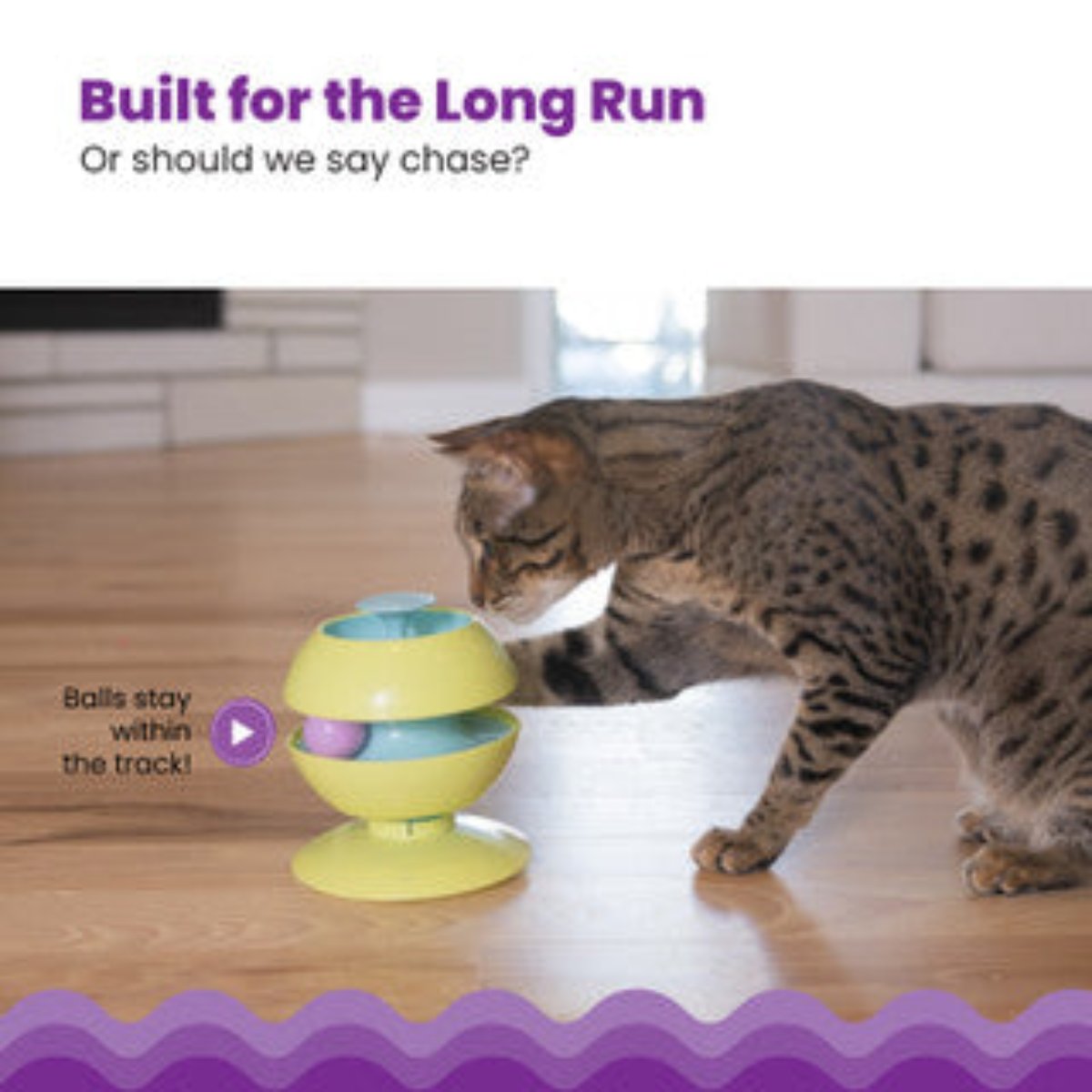 Cat playing with Catstages Twist-A-Ball Track interactive cat ball toy