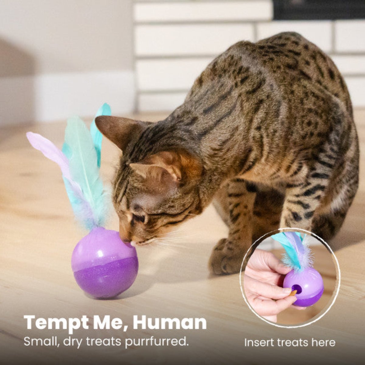 Catstages Wobble N' Treat toy showing where to insert small dry cat treats
