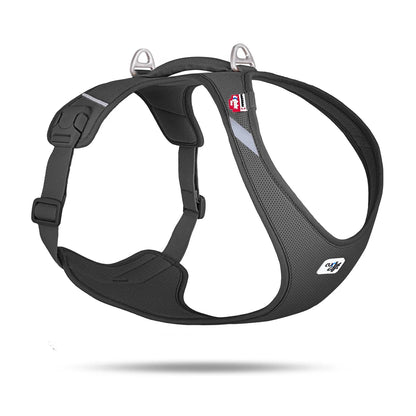 Curli Belka Comfort Air Mesh dog harness in black, lightweight breathable mesh with dual leash rings, studio product image.