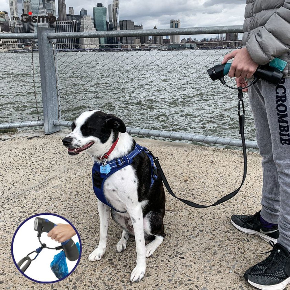 DGS Gismo dog leash handle used with a fixed-length leash during an outdoor dog walk