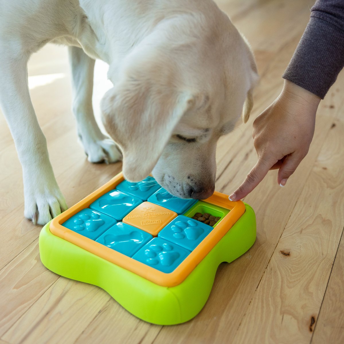 Dog using the Nina Ottosson Challenge Slider treat puzzle toy